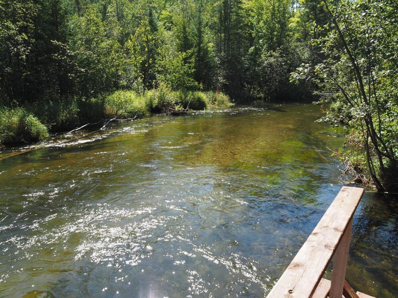 Sleeping Bear Riverside Cabins - Cabin #1 Honor 外观 照片